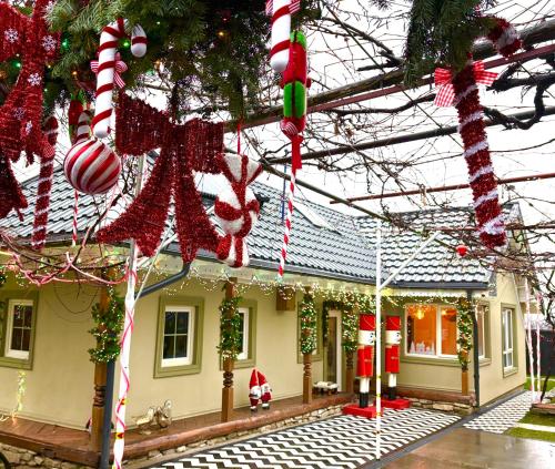 皮亚特拉-尼亚姆茨Barlogul Ursilor Ciubar&BBQ的一栋装饰着圣诞饰品的房子