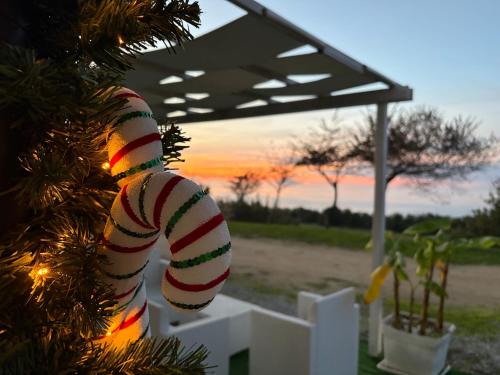 Příroda nedaleko penzionu