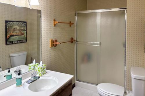 a bathroom with a shower and a sink and a toilet at Pine Hill Hideaway in Stateline