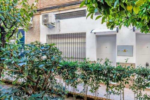 Apartamentos Suite Sol