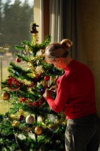 Eine Frau steht neben einem Weihnachtsbaum in der Unterkunft Moje Miejsce Jura in Lgota Murowana