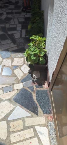 Apartman Villy 2