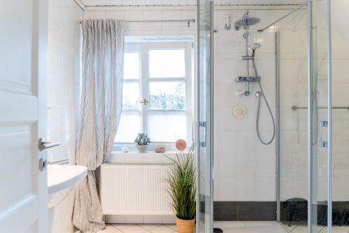ein Badezimmer mit Dusche und Fenster in der Unterkunft KüstenGlück in Langballig
