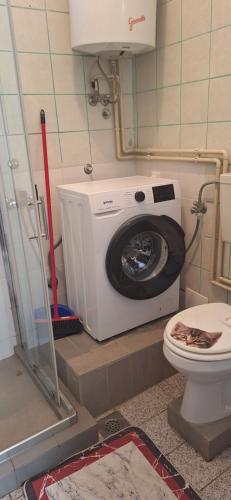 une machine à laver dans une salle de bain avec toilettes dans l'établissement Apartman Villy 2, à Jadranovo