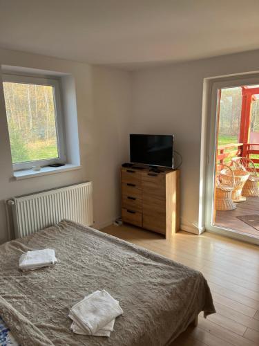 1 dormitorio con cama y vestidor con TV en Cabana Antonica, en Breaza