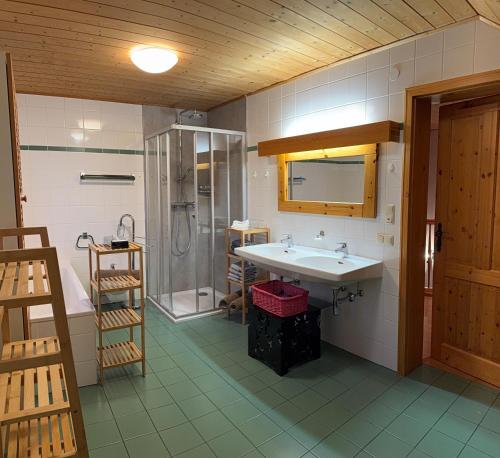 een badkamer met een wastafel en een douche bij Villa Verdi in Fischerndorf
