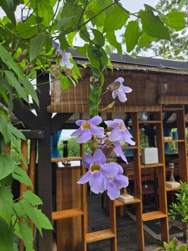 Φωτογραφία από το άλμπουμ του Witzob Glamping Adventures 