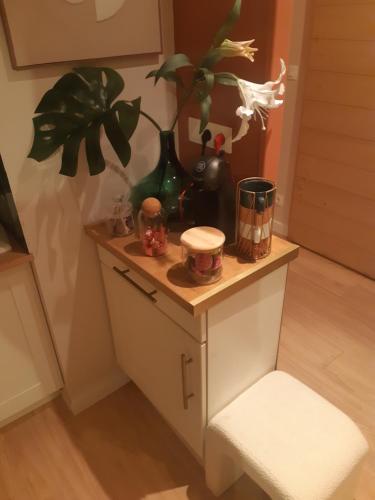 einen Tisch mit einer Pflanze darüber in der Unterkunft Beautiful cocooning appartement in La Chapelle-sur-Erdre