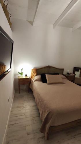 een slaapkamer met een groot bed en een televisie bij La Preta, casa de campo in San Clemente