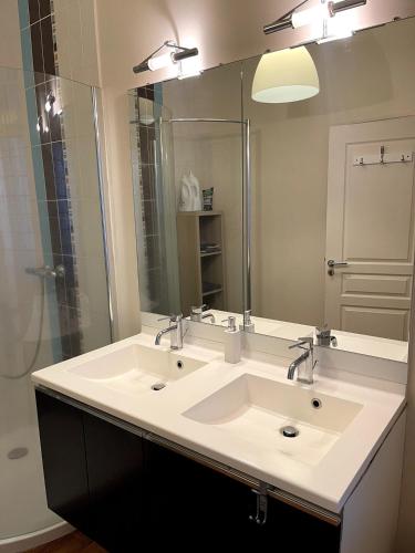 Le charme du Puy dans une ancienne verrerie في لو بوي: حمام به مغسلتين ومرآة كبيرة