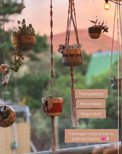 a group of potted plants hanging from a pole at Amanda Relax and nature beautiful beach in Playa Hermosa