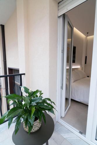 a plant sitting on a table on a balcony at B&B Cariddi Rooms in Caltanissetta