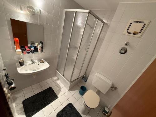 ein Badezimmer mit Dusche, Toilette und Waschbecken in der Unterkunft 2 Soul Appart in Dresden