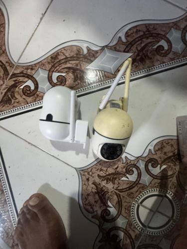 4LoyaltyRecords2storeyQueensuite في كينغستون: طاولة بها جسمين أعلى الأرضية