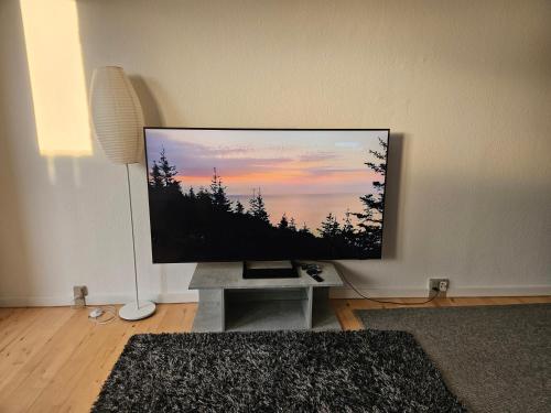 - soggiorno con TV a schermo piatto; di Cozy One Room Apartment a Roskilde
