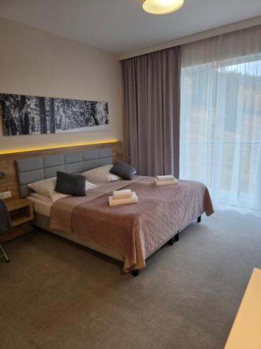 ein Schlafzimmer mit einem großen Bett und einem großen Fenster in der Unterkunft Aparthotel Apartamenty Czarna Góra 307 in Heudorf