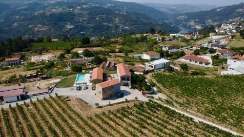 an aerial view of a small village with a vineyard at Canhoto Douro in São Lourenço do Douro