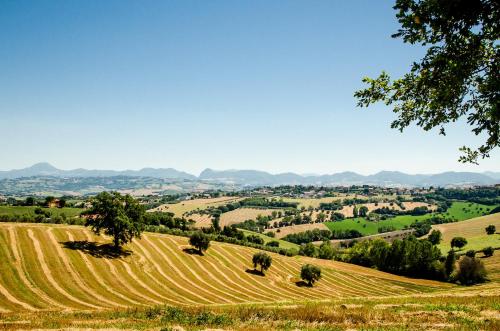 a field of crops with mountains in the background at CasaVostra - Ambience Suites in Ostra Vetere