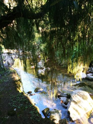 a creek with some rocks and trees and water at Bangalo a beira do rio em plena natureza in Petrópolis