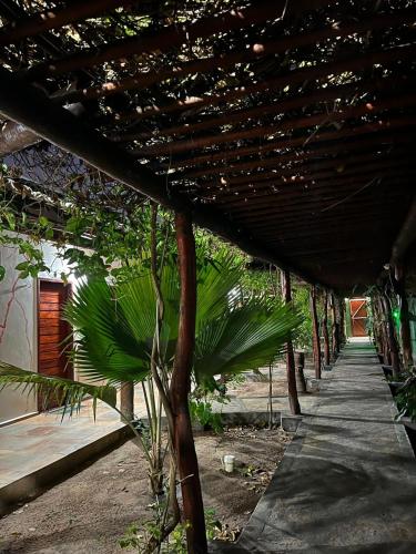 acovered walkway with a palm tree next to a building at Pousada Imperio dos Bambus in Jijoca de Jericoacoara