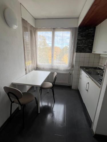 Charmante, gemütliche Wohnung in Toplage an der Aare & Altstadt in Gehdistanz