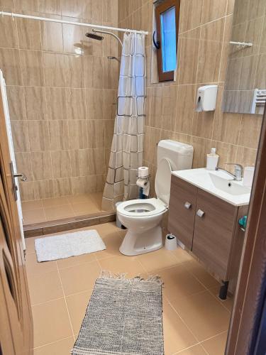 a bathroom with a toilet and a sink and a shower at Cabana Izvorul Rece Maramureş in Baia-Sprie