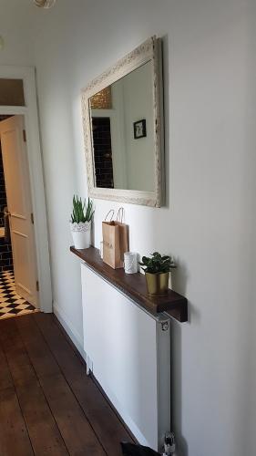 un miroir sur un mur à côté d'un comptoir avec des plantes dans l'établissement Park Crescent Brighton, à Brighton et Hove