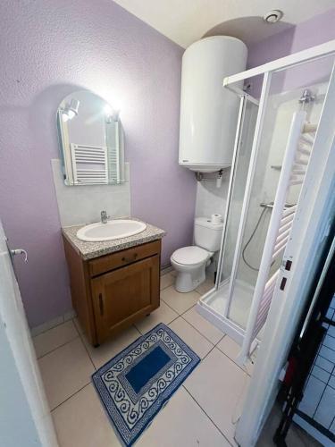 a bathroom with a sink and a toilet and a mirror at le 4 - Château - Ville in Château-Chinon