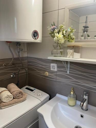 a bathroom with a sink and a toilet and a mirror at Vikendica RANKOVIĆI in Mokra Gora