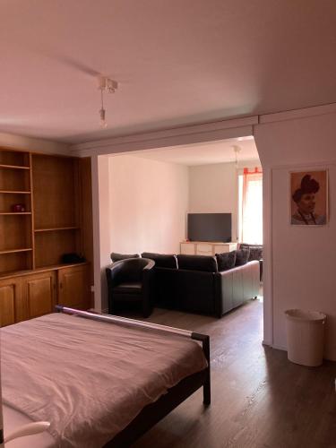 a living room with a bed and a couch at Zentrale Unterkunft in Bern