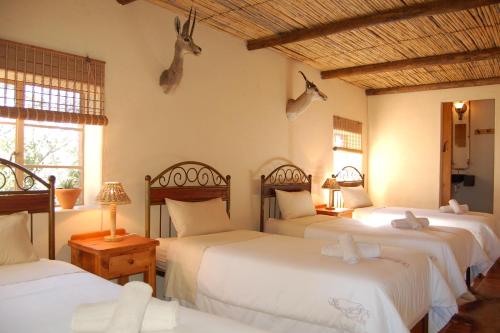 a bedroom with three beds and deer heads on the wall at The Vale Karoo Farm in Nelspoort