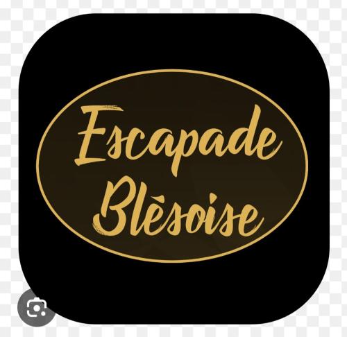 Πιστοποιητικό, βραβείο, πινακίδα ή έγγραφο που προβάλλεται στο Escapade Blésoise Chambres-Appart-Loft and Spa-Jacuzzi