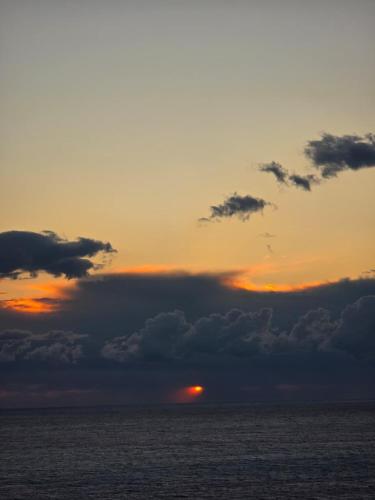 Cimarte The Path Lukove