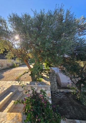 Ein Baum im Garten mit Blumen. in der Unterkunft Cimarte The Path Lukove in Lukova