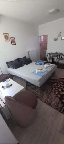 O zonă de relaxare la Irma