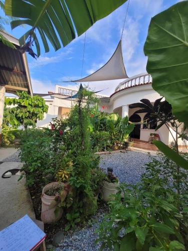 a garden with plants in pots in front of a building at Luxury Posada inn in Los Amates