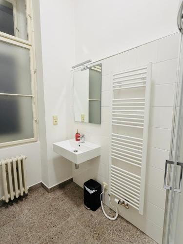 a white bathroom with a sink and a mirror at Zitna Downtown Residence in Prague