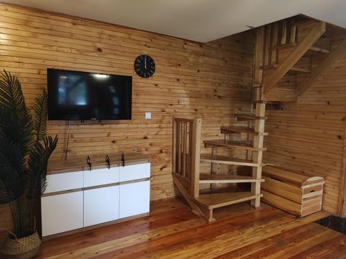 AdamÃ³wDomki całoroczne u Greściaków的客厅设有木墙,配有电视