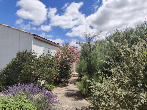 einen Garten mit Blumen und einem Gebäude in der Unterkunft Villa Caroux in Bédarieux