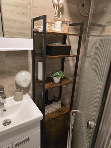 a bathroom with a sink and a shelf with a plant at Prime NG Mujen lux & spa in Cajetina