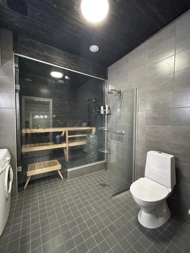 un bagno con wc e doccia di Vennin Rauha a Rovaniemi