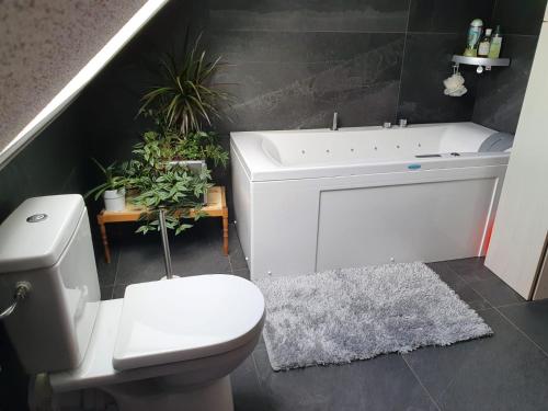 un baño con inodoro y bañera en Maison chaleureuse, en Griesheim-près-Molsheim