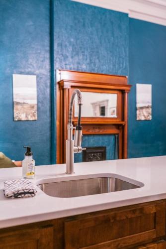 a kitchen counter with a sink and a mirror at Peacock Suite in Sedalia