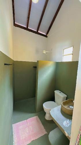 Casa caraiva xandó في بورتو سيغورو: حمام مع مرحاض ومغسلة