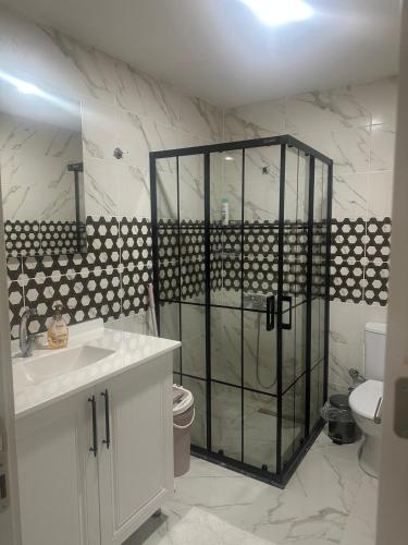a bathroom with a shower and a sink and a toilet at Moonlight Home in Nicosia