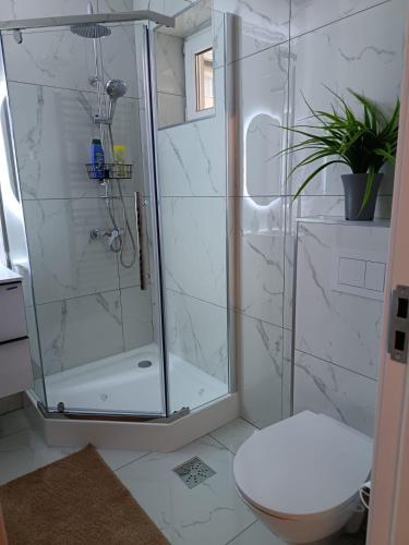 Ένα μπάνιο στο Decebal NOHOTEL