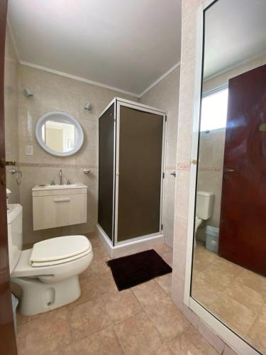 e bagno con servizi igienici e doccia con specchio. di Departamento Constitución a Tandil