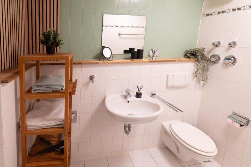 a bathroom with a sink and a toilet and a mirror at Zweisam am Alaunpark 