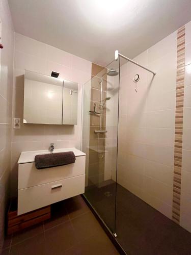 a bathroom with a sink and a glass shower at Appartement moderne baigné de lumière en centre-ville in Douarnenez