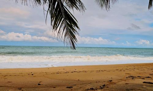 Φωτογραφία από το άλμπουμ του Conchy Tonk στο Μπόκας ντελ Τόρο